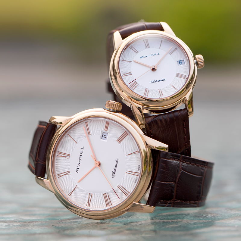 Seagull Men's Mechanical Watch - Seiko Watch Presage review and price
